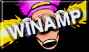 winamp.jpg (1461 bytes)